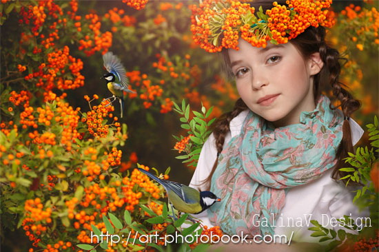 ������ ����� �� ������