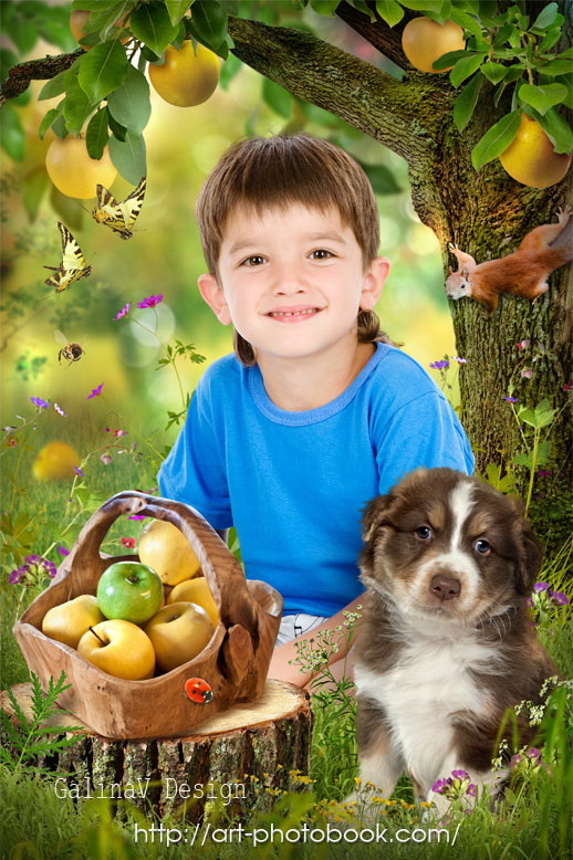 ������ ��� ���������