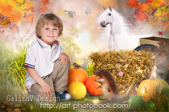 ������ ���� � ������