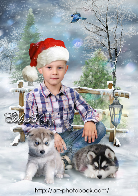 ������� ��������� ����