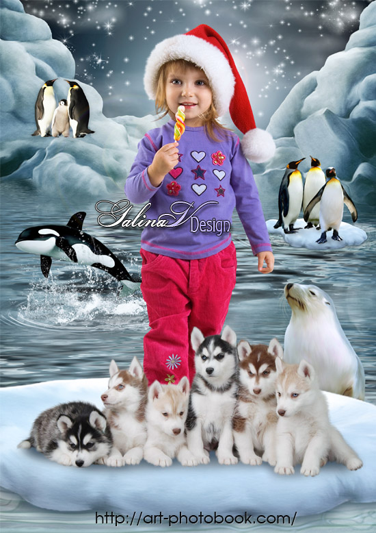 ������� ��������� ����