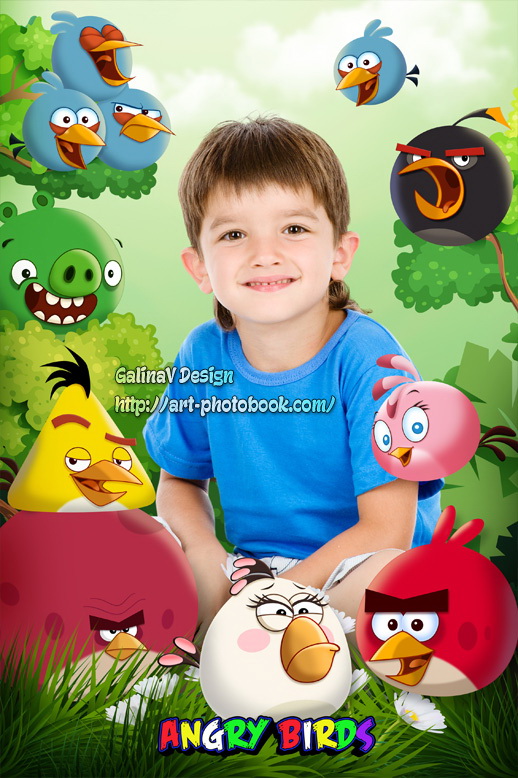 ������ ���� ������ Angry Birds