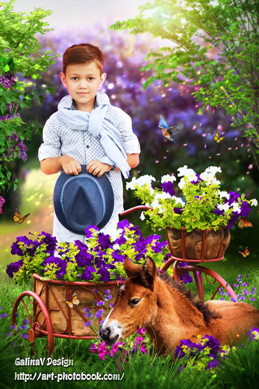 ������ �������