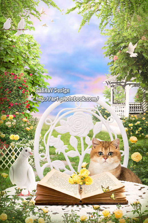 ������ ���� � ����