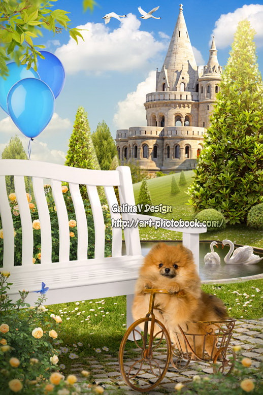 ������ �� �������� � �����