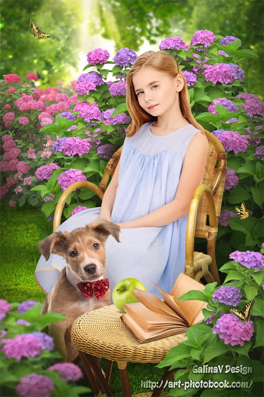 ������ ���������