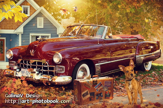 ������ ��������