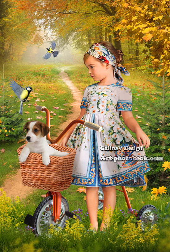 ������ �������� �� ������